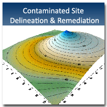 Contaminated Site Remediation
